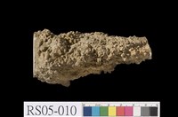 藏品(鐘乳石)的圖片